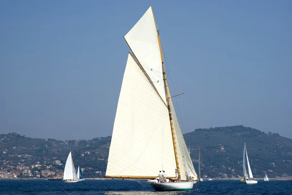 Oldtimersegeln — Stockfoto