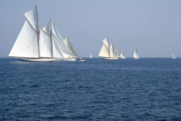 Regata di yacht classici — Foto Stock