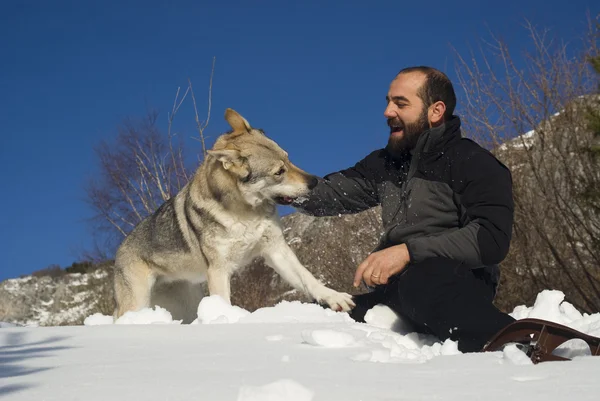 冬の森で犬と一緒に男 — ストック写真