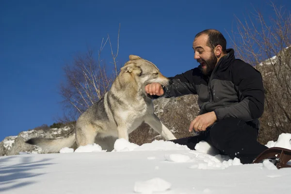 Uomo con cane nella foresta invernale — Foto Stock