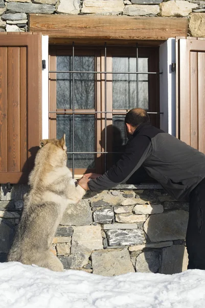 Homme et chien regardant la fenêtre — Photo