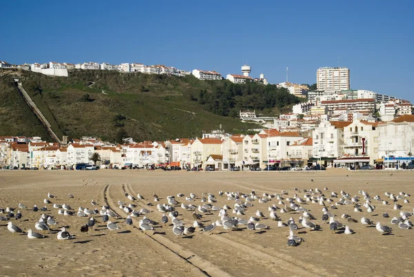 Nazare, Portugalsko — Stock fotografie