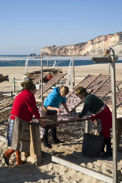 Mujeres portuguesas secando pescado en la playa de Nazare —  Fotos de Stock