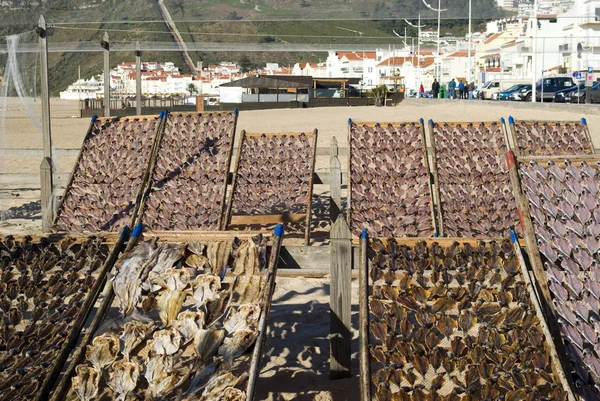 Fisch trocknen — Stockfoto