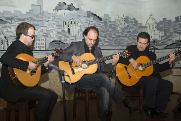Fado - Spielen einer traditionellen portugiesischen Gitarre — Stockfoto