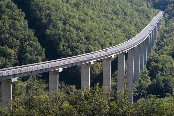 Viadotto nelle Alpi — Foto Stock