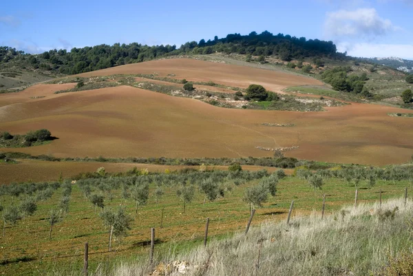 The natural park Sierra de las Nieves, Andalusia, Spain — Stock Photo, Image