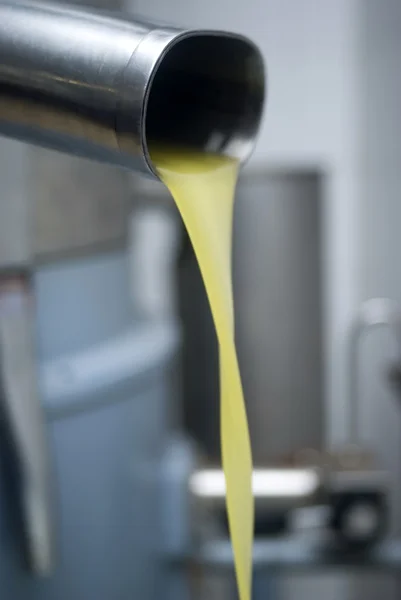 Frisches natives Olivenöl — Stockfoto