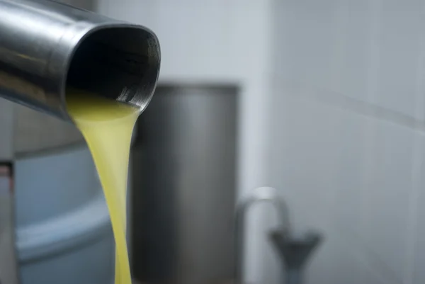 Fresh virgin olive oil — Stock Photo, Image