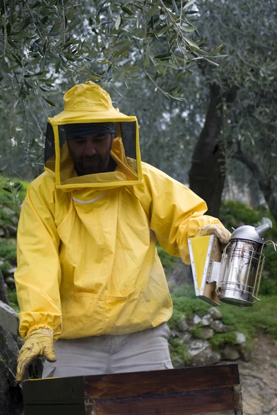 Imker öffnete Bienenstock — Stockfoto