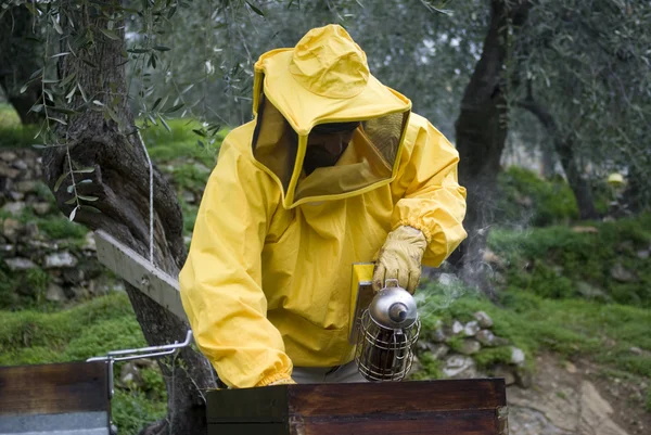Beekeeper opened beehive — Stock Photo, Image