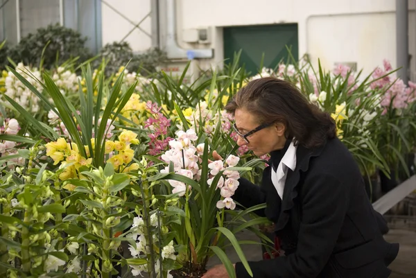 Señora mayor en vivero de plantas — Foto de Stock