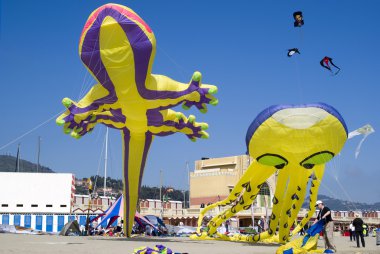 Imperia, İtalya - 2 Nisan 2011: Uluslararası Uçurtma Şenliği katılımı ile peter lynn dünyanın en büyük uçurtmalar onun yapımı için bilinen, en çok bilinen 27 m uçurtma ahtapot olduğunu.
