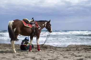 bir genç çocuk ve sahilde at