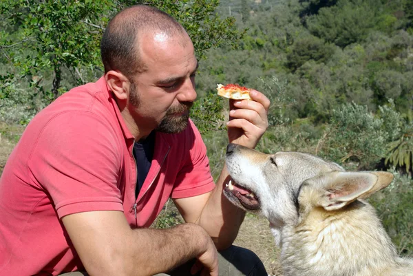 Alla ricerca di cibo — Foto Stock