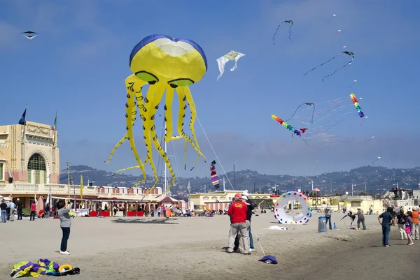 Imperia, Italie - 2 avril 2011 : Festival international de cerfs-volants avec la participation de Peter Lynn connu pour sa construction des plus grands cerfs-volants du monde, le plus connu est le poulpe cerf-volant de 27 m . — Photo