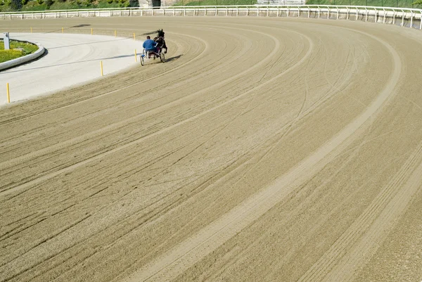 Hippodrome. Trotting race — Stock Photo, Image