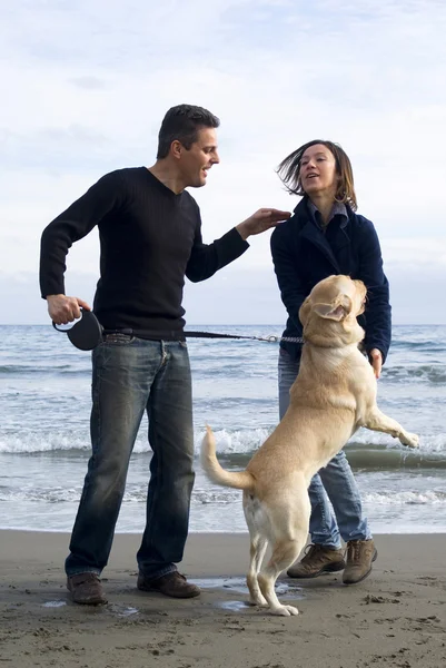 Happy couple with their labrador — Stock Photo, Image