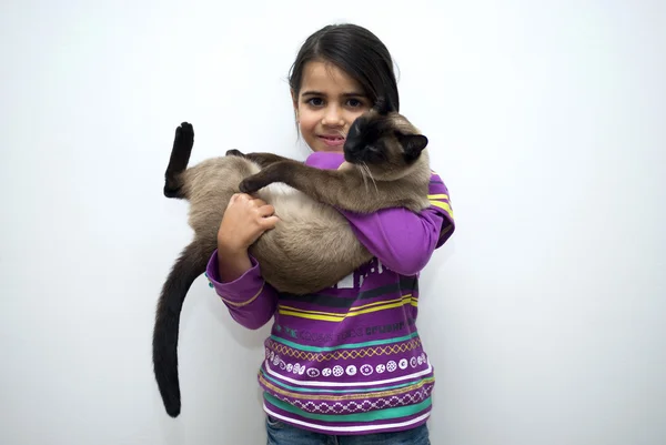 Niña con gato siamés — Foto de Stock