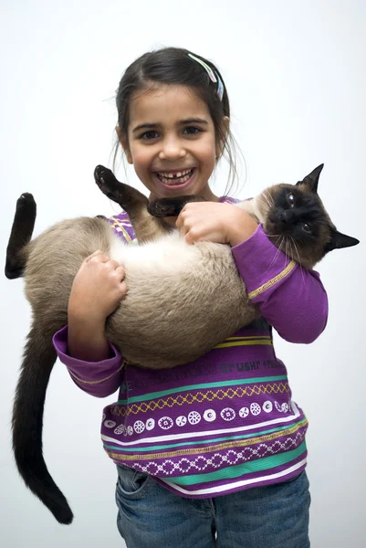 Niña con gato siamés — Foto de Stock