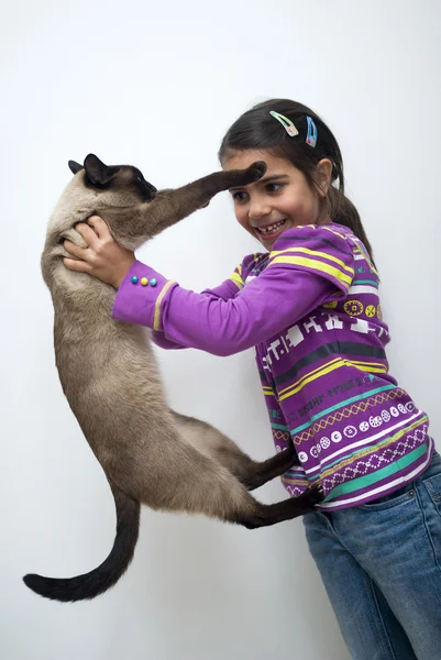 Маленькая девочка с сиамской кошкой — стоковое фото