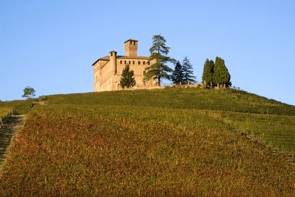 城の grinzane カブール — ストック写真