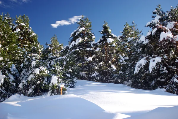 Winter landschap — Stockfoto