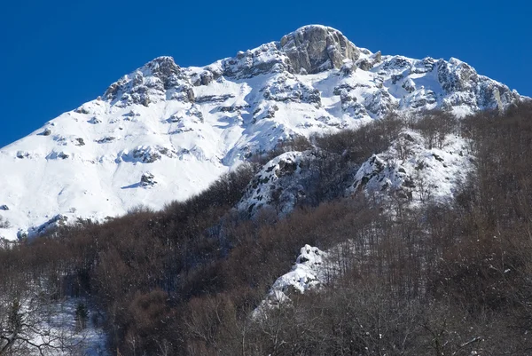 Alpine winterlandschap — Stockfoto