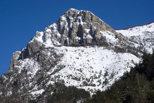 Alpina vinterlandskap — Stockfoto