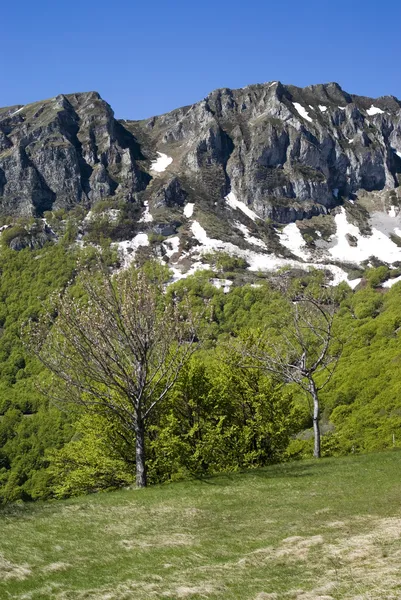 Ligurian Alps, Italy — Stock Photo, Image