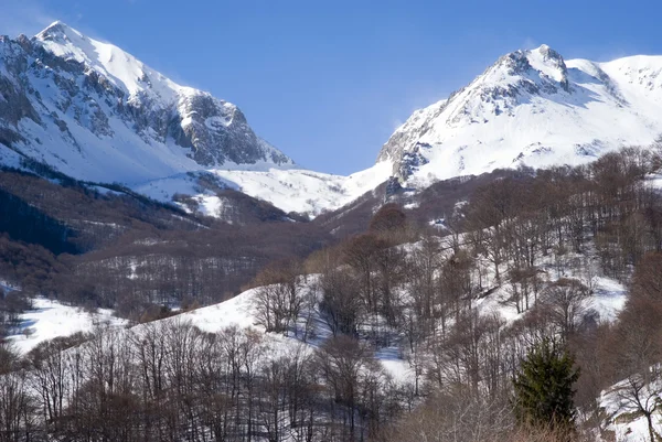 Paesaggio invernale alpino — Foto Stock