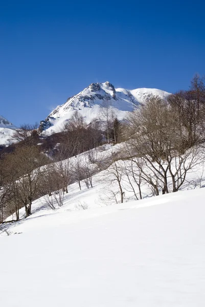 Paesaggio invernale alpino — Foto Stock