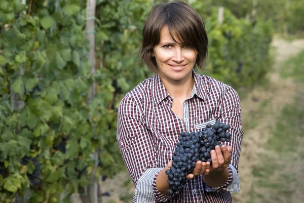 Frau im Weinberg — Stockfoto