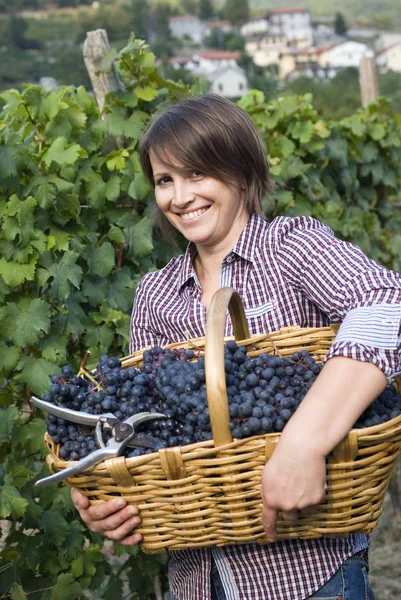 Kobieta pracuje w winnicach — Zdjęcie stockowe