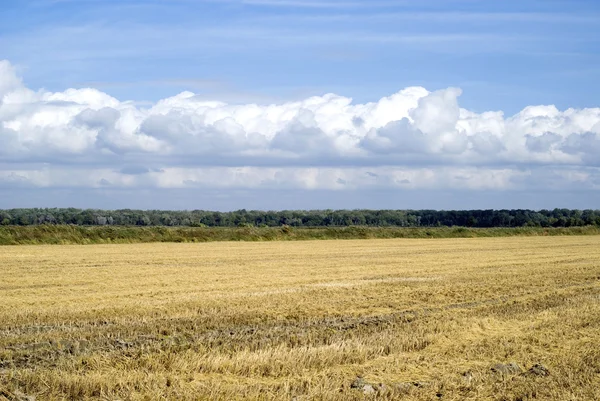 Zemědělská krajina — Stock fotografie