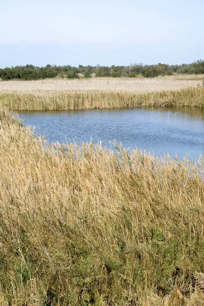 Camargue wild landschap aan herfst — Stockfoto