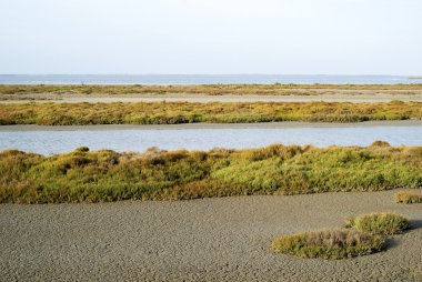 Camargue vahşi manzara sonbahar