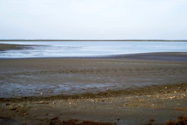 Camargue vahşi manzara sonbahar