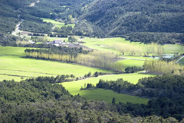 Green field panorama, France — Stock Photo, Image