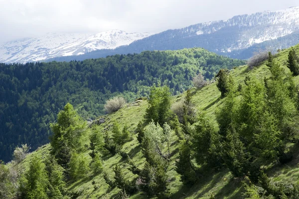 Альпы, Италия — стоковое фото