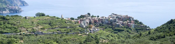 Corniglia 的全景视图 — 图库照片