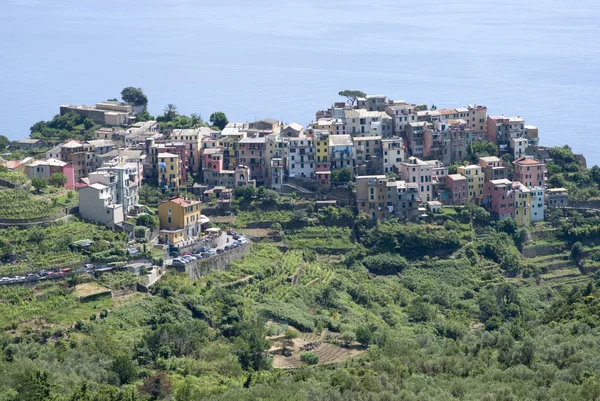 Vista panorâmica de Corniglia — Fotografia de Stock