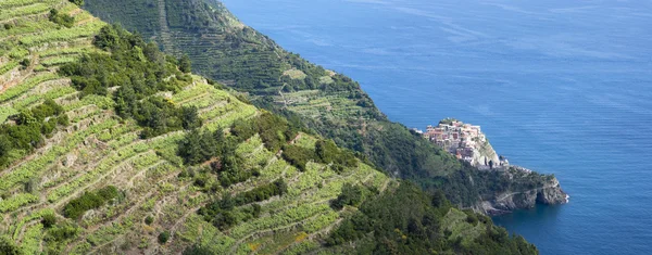 Nationalpark Cinque Terre, Italien — Stockfoto