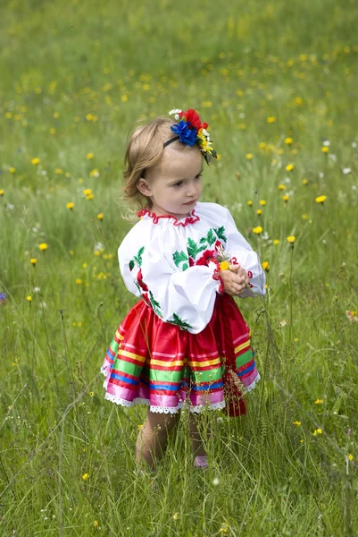 Niña en traje tradicional ucraniano —  Fotos de Stock