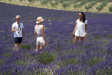 turist valensole