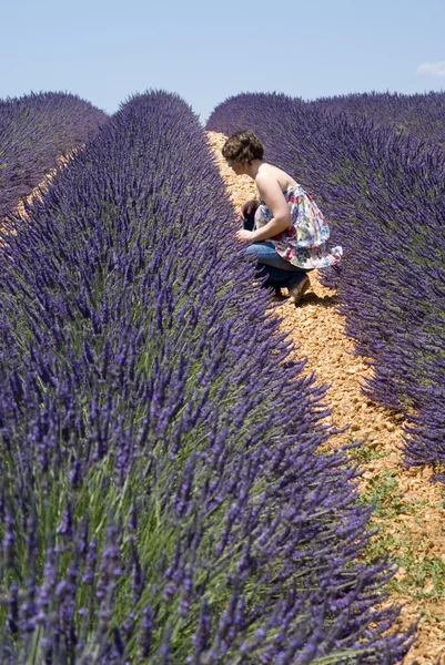 Woman in lavender field — Stock Photo, Image