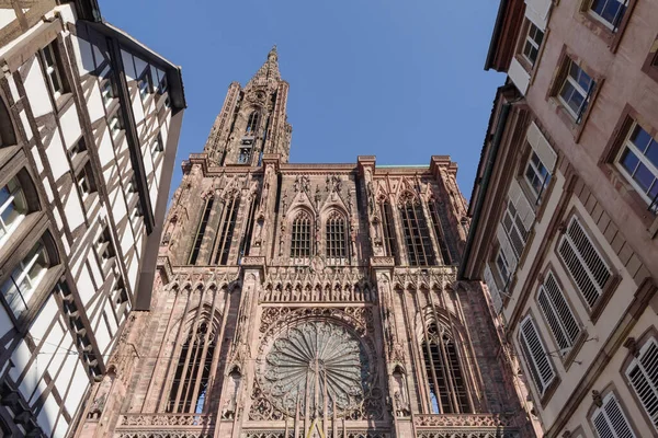 Notre Dame Gotiska Katedralen Med Ram Hus Unesco Världsarv Alsace — Stockfoto