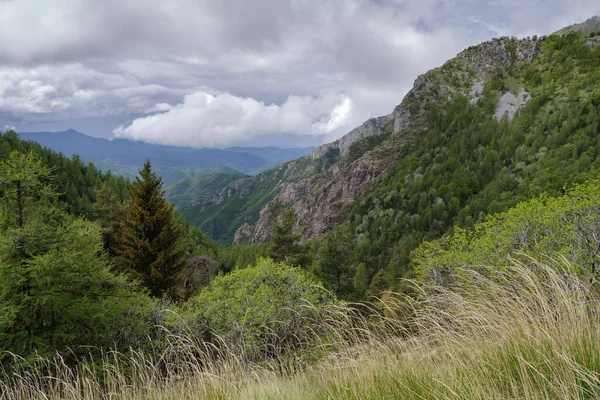 Альпы Луна Тораджо Северо Запад Италии — стоковое фото