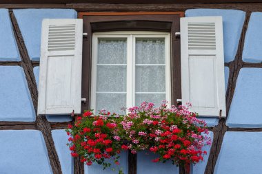 Yarı ahşap evdeki sardunyalı pencere, Eguisheim köyü, Alsace, Fransa