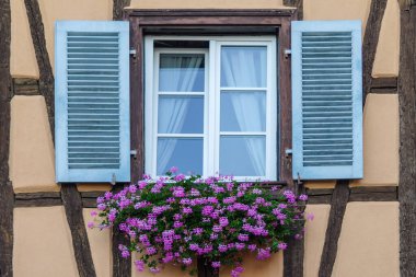 Yarı ahşap evdeki sardunyalı pencere, Eguisheim köyü, Alsace, Fransa